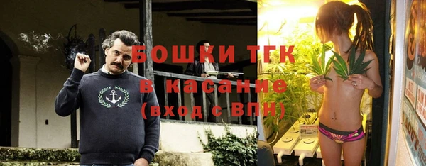 ГАЛЛЮЦИНОГЕННЫЕ ГРИБЫ Аркадак