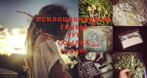 ГАЛЛЮЦИНОГЕННЫЕ ГРИБЫ Аркадак