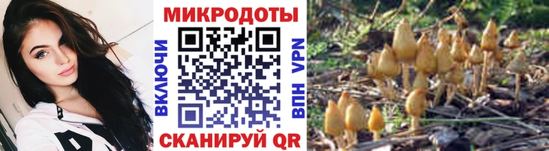 omg маркетплейс это Telegram Галлюциногенные грибы ЛСД Мариинский Посад